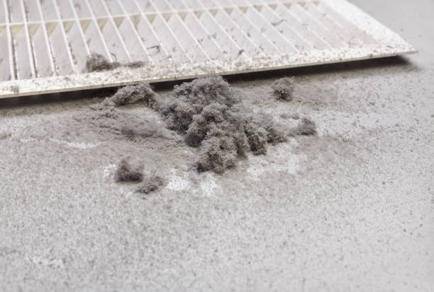 Best Home Air Vent Cleaning  in North Catasauqua, PA