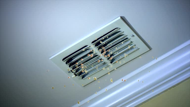 Ventilation Cleaning Services in North Catasauqua, PA